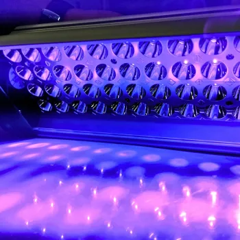 Lampa UV-A led - ultrafioletowa ATk 50W | Ataszek.pl